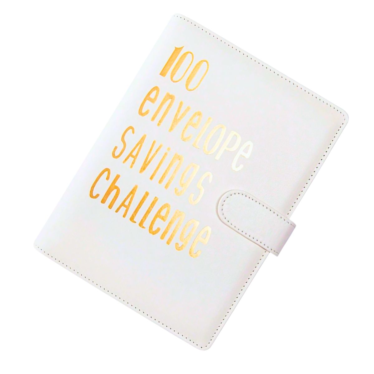 100 enveloppen Budget Binder Lila van 100 enveloppen Budget Binder Lila van