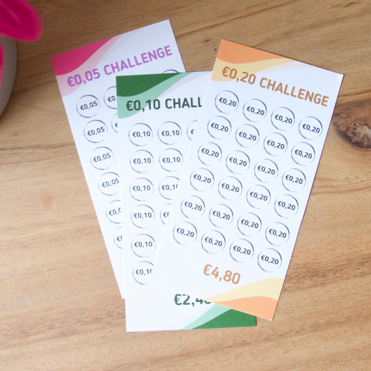 Spaar challenge kleingeld - Budget Binder