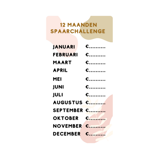 Spaar challenge 12 maanden - Budget Binder