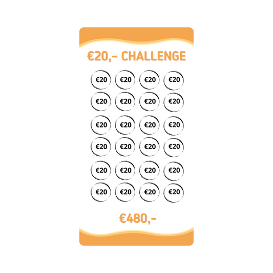 Spaar challenge 20 euro - Budget Binder