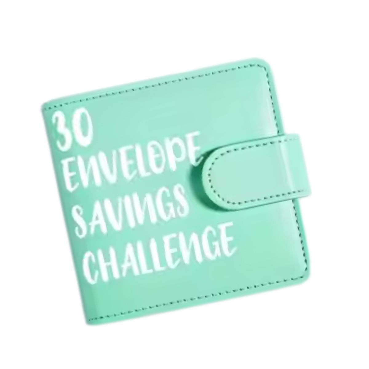 30 enveloppen savings binder mint