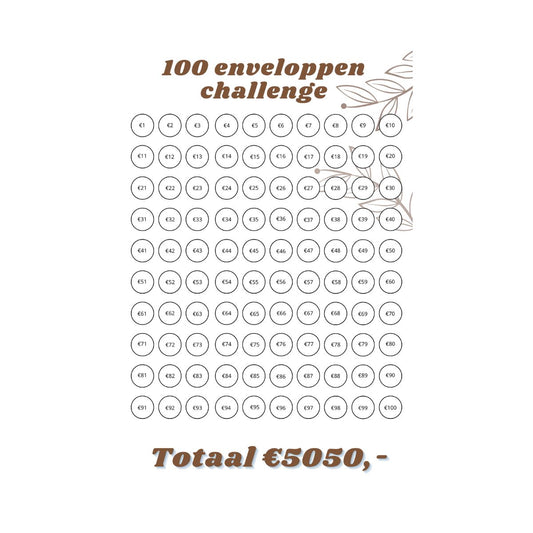 A5 spaarchallenge 100 enveloppen €5050,-