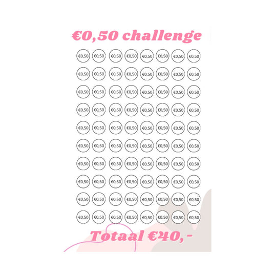 A5 Spaar challenge 50 cent - Budget Binder