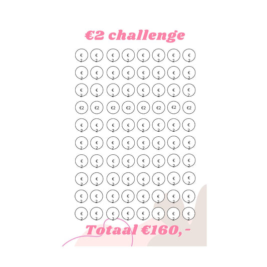 A5 Spaar challenge 2 euro - Budget Binder