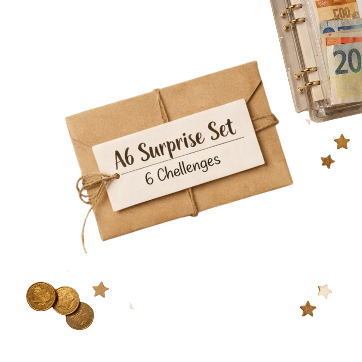 A6 Surprise Set - Budget Binder